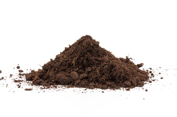 Soil